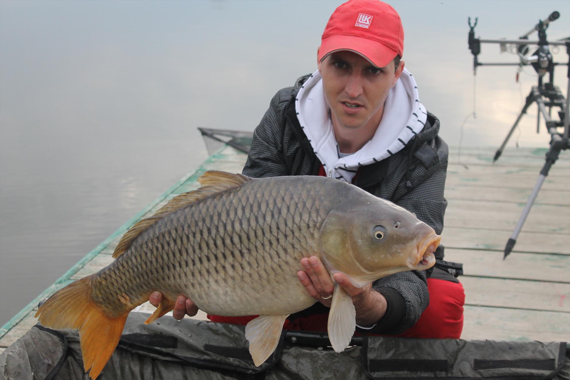 2015 - Prietenu meu Victoras